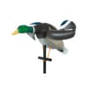 Air Lucky HD Decoy By Lucky Duck -Outdoor Equipment Store AirLuckyHDDecoy LD 21339.1673286484