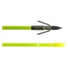 Classic Chartreuse Fish Arrow With Carp Point By Muzzy