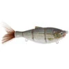 BD Shad 6" Slow Sinking Swimbaits By Duckett 1 BD Shad 6" Slow Sinking Swimbaits By Duckett -Outdoor Equipment Store DuckettFishingBDShadSwimbaits WB 37558.1711480637
