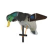 The Lucky HD Decoy By Lucky Duck 2 The Lucky HD Decoy By Lucky Duck -Outdoor Equipment Store LuckyHDDecoy LD 97066.1673377217