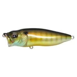 PopMax 1/2 Oz Topwater Bait By Megabass