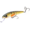 KVD Elite 200 Jerkbaits By Strike King -Outdoor Equipment Store StrikeKingKVDElite200Jerkbait 09507.1709663925