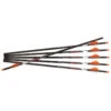 XK5 .001 6-Pack Arrows By Ravin Crossbows 2 XK5 .001 6-Pack Arrows By Ravin Crossbows -Outdoor Equipment Store XK50016pkCrossbowArrows Ravin 56451.1699996010