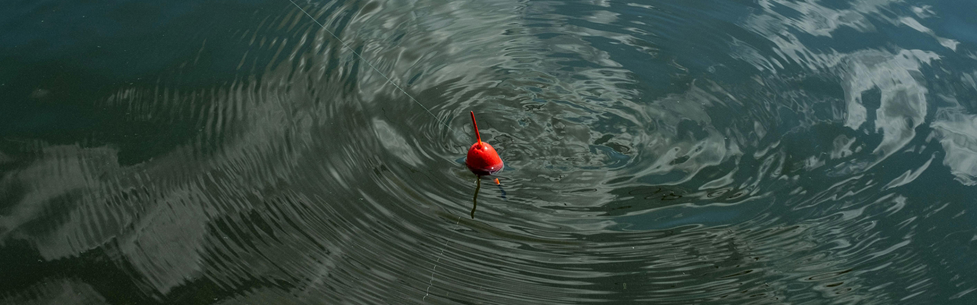 Outdoor Equipment Store -Outdoor Equipment Store pexels ron lach 10418936